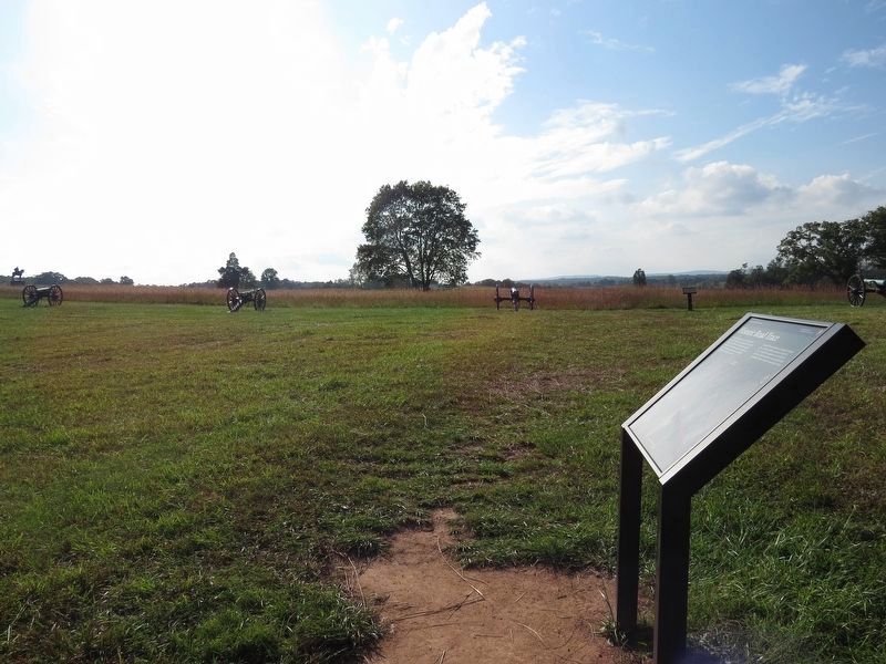 Historic Road Trace Marker. Click for full size. Historic Road Trace Marker image. Click for full size.