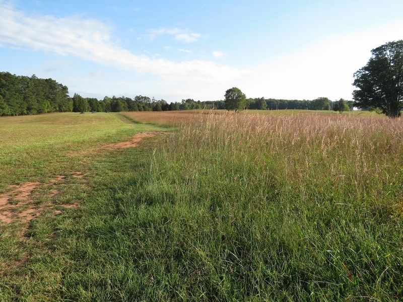 Virginia Artillery from the Confederates Rally Marker image. Click for full size.