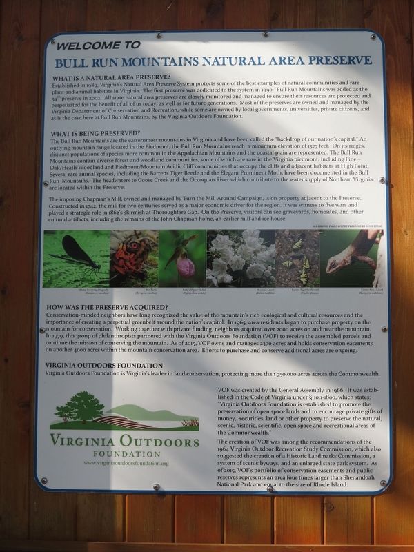 Bull Run Mountains Natural Area Preserve Marker. Click for full size. Bull Run Mountains Natural Area Preserve Marker image. Click for full size.
