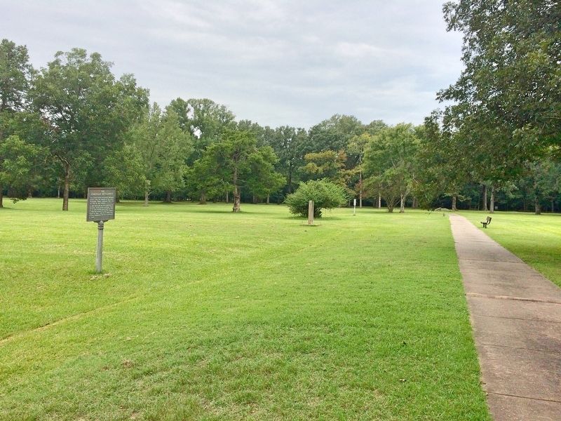 Stone from Ruins of Old Bank Marker in middle distance. image. Click for full size.