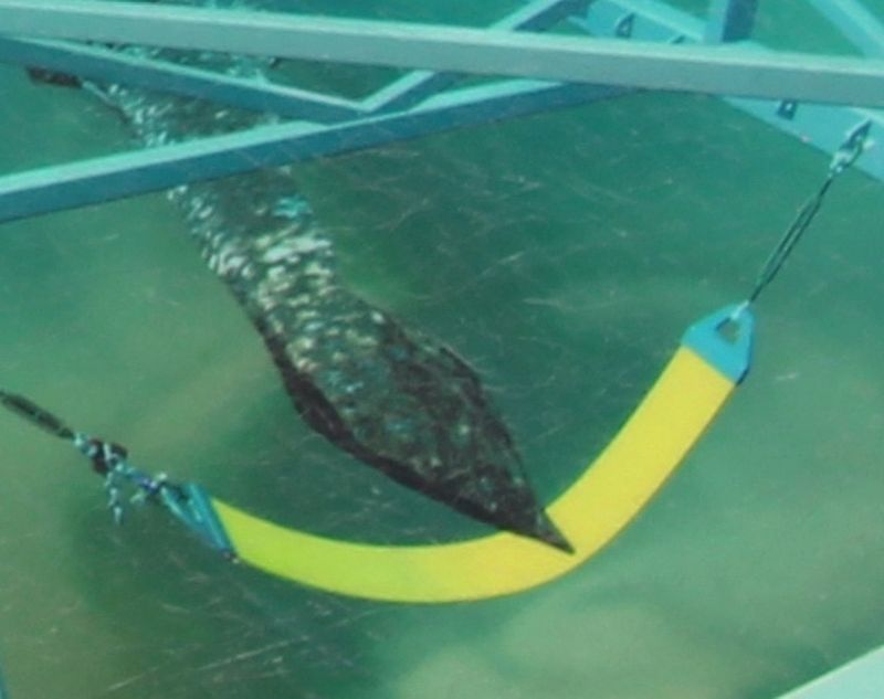 The <i>Hunley</i> Recovery Project Marker image. Click for full size.