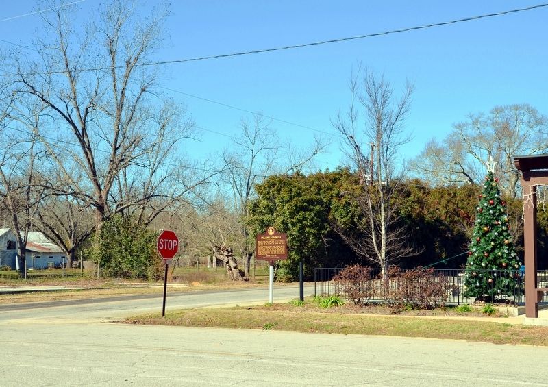 Pulaski, Georgia Marker (Side 1) image. Click for full size.