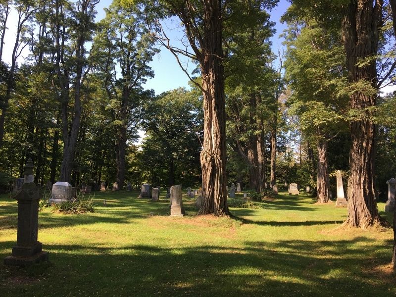 Part of the cemetery as seen from the gates image. Click for full size.
