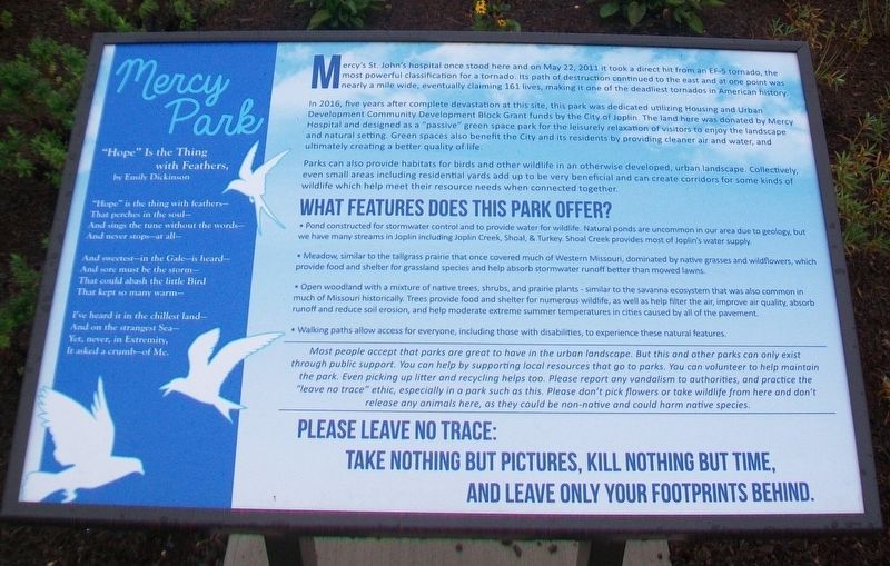 Mercy Park Marker image. Click for full size.