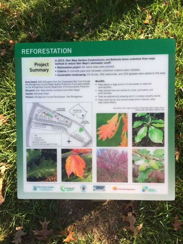 Reforestation Marker. Click for full size. Reforestation Marker image. Click for full size.