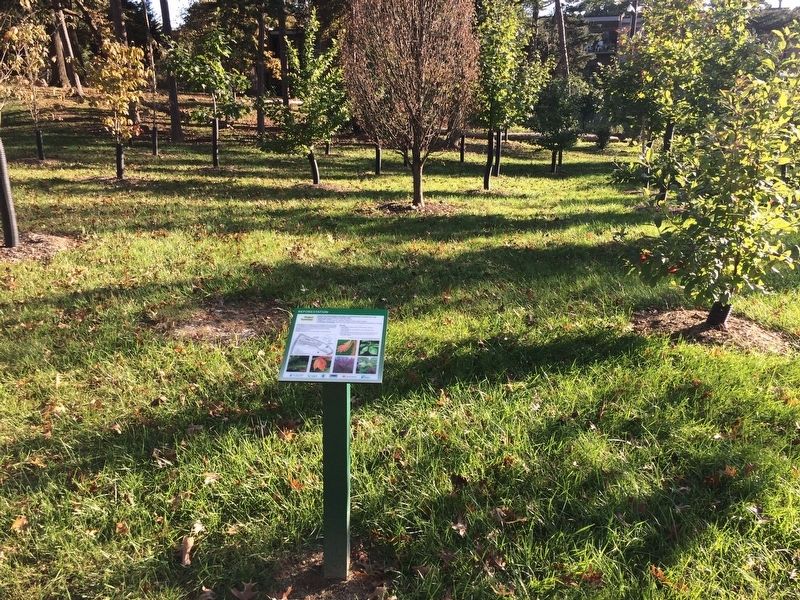 Reforestation Marker. Click for full size. Reforestation Marker image. Click for full size.