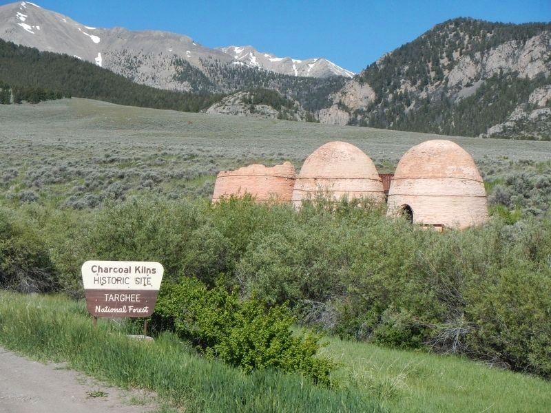 Birch Creek Charcoal Kilns. Click for full size. Birch Creek Charcoal Kilns image. Click for full size.