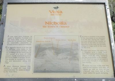 Viola - The Mine Marker. Click for full size. Viola - The Mine Marker image. Click for full size.