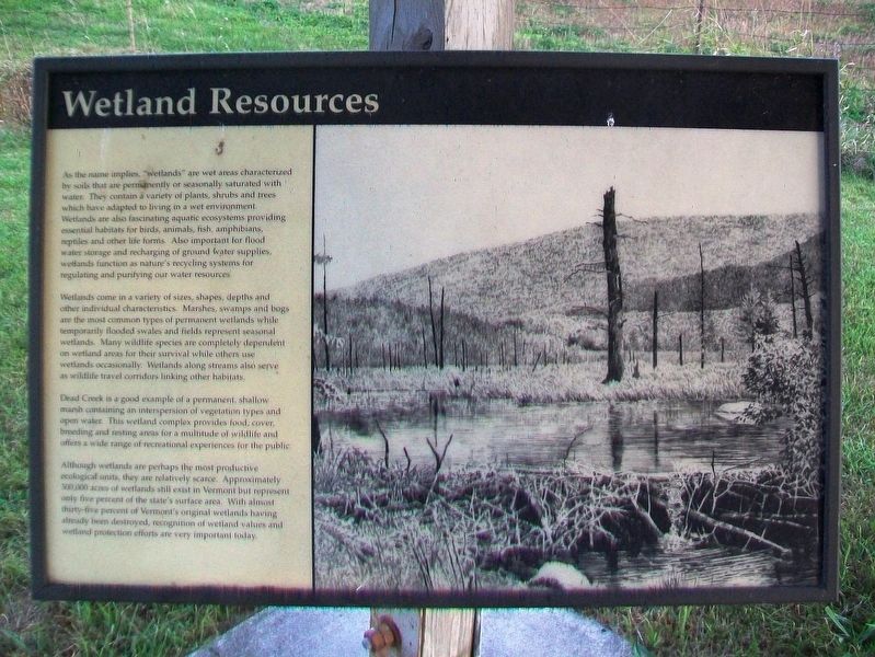 Wetland Resources Marker image. Click for full size.