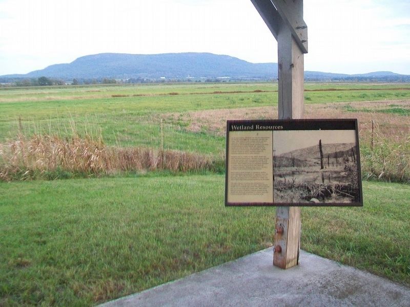 Wetland Resources Marker image. Click for full size.