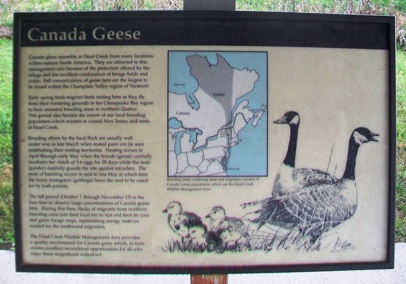 Canada Geese Marker image. Click for full size.