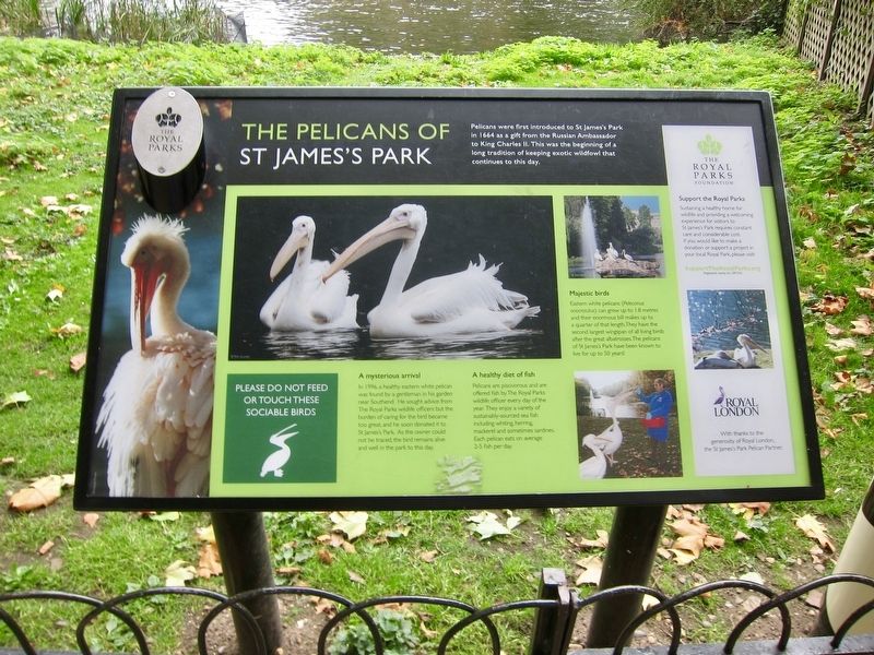 The Pelicans of St Jame's Park Marker. Click for full size. The Pelicans of St Jame's Park Marker image. Click for full size.