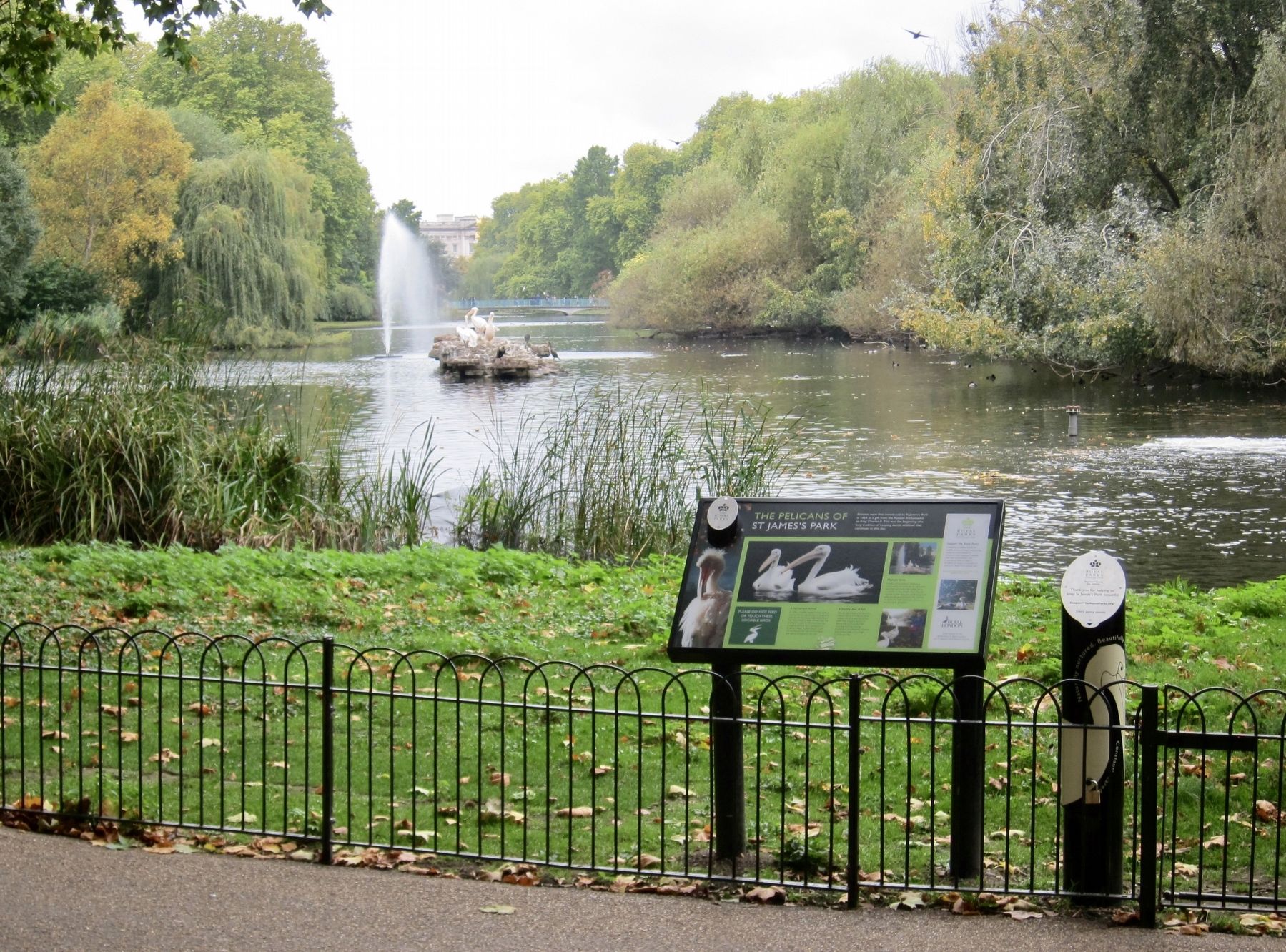 The Pelicans of St Jame's Park Marker - Wide View. Click for full size. The Pelicans of St Jame's Park Marker - Wide View image. Click for full size.