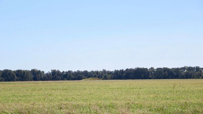 Lower Jackson Mound can be seen in far distance. image. Click for full size.