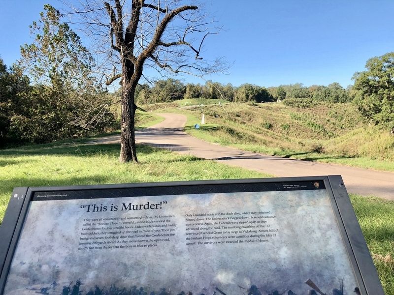 View towards ditches mentioned on marker. image. Click for full size.