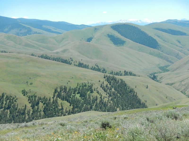 View to the Southwest from the Marker. Click for full size. View to the Southwest from the Marker image. Click for full size.