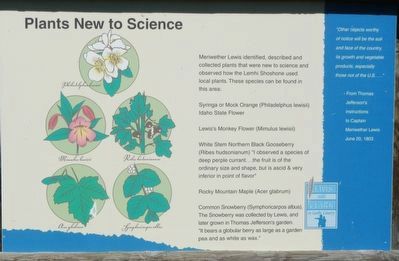 Plants New to Science Marker image. Click for full size.