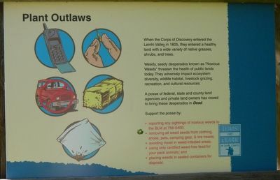 Outlaw Piants Marker image. Click for full size.