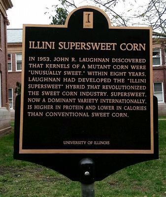 Illini Supersweet Corn Marker. Click for full size. Illini Supersweet Corn Marker image. Click for full size.
