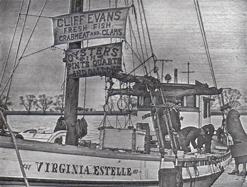 The Virginia Estelle image. Click for full size.