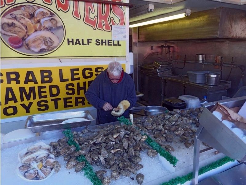 Shucking Clams image. Click for full size.