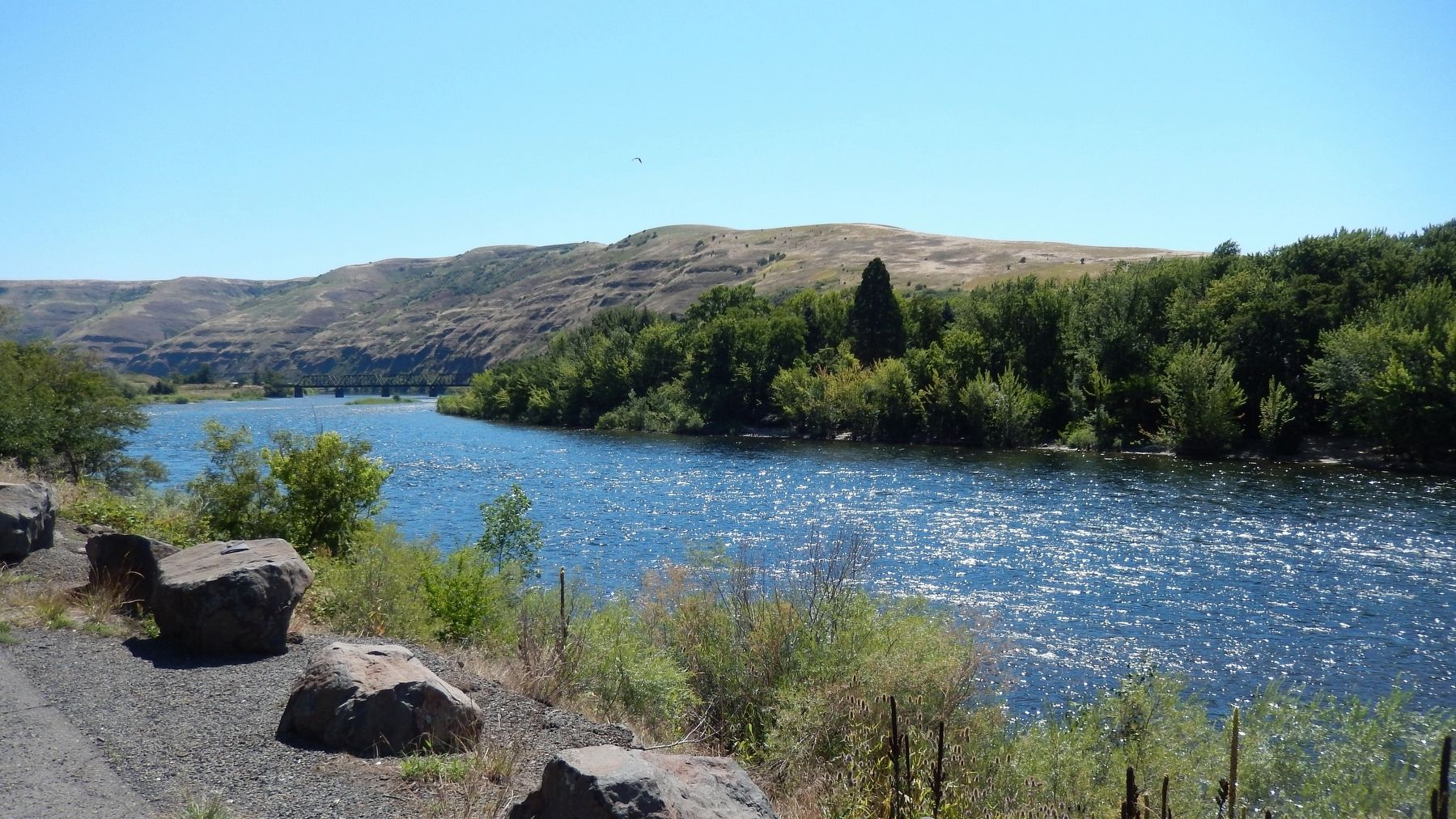 view of Clearwater River east from Spalding's Mission Marker image. Click for full size.