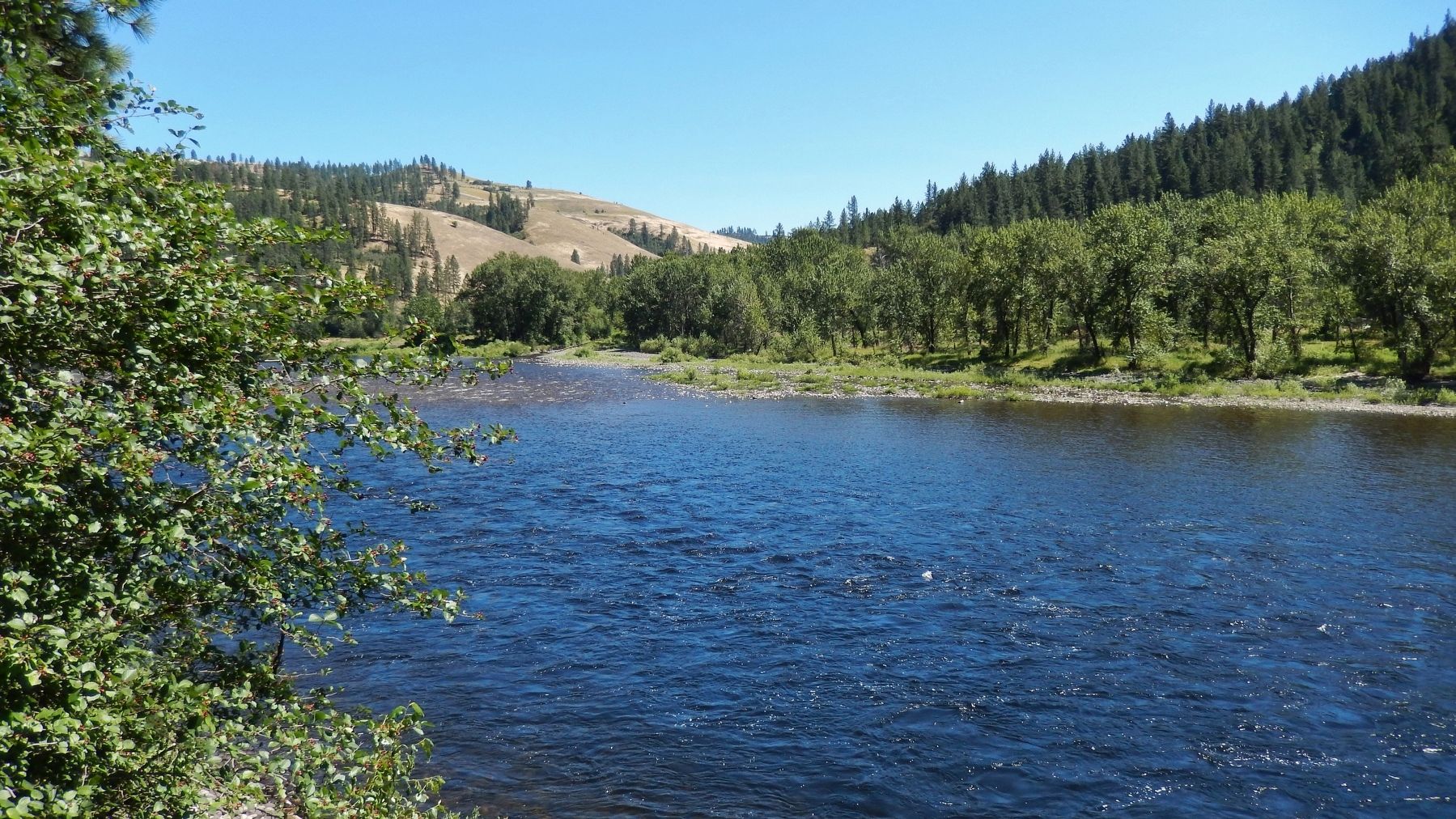 View of Clearwater River from the marker image. Click for full size.