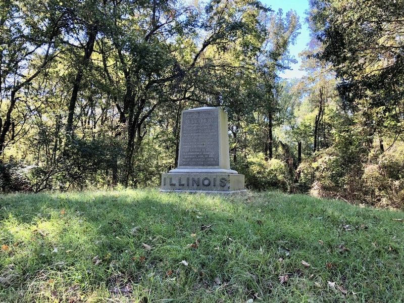 Illinois 29th Infantry. [Detachment.] Marker image. Click for full size.