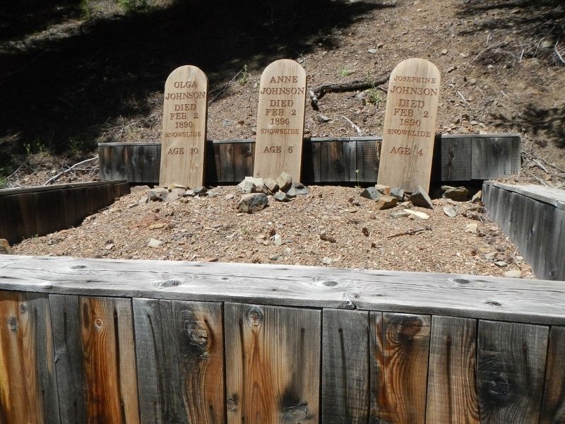 Graves of the Johnson Children. Click for full size. Graves of the Johnson Children image. Click for full size.