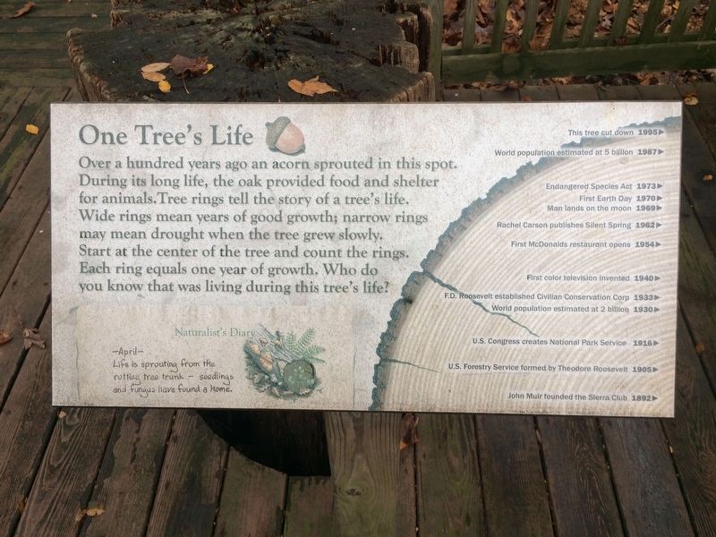 One Tree's Life Marker. Click for full size. One Tree's Life Marker image. Click for full size.