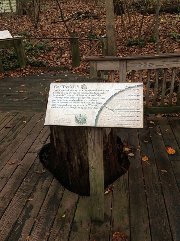 One Tree's Life Marker. Click for full size. One Tree's Life Marker image. Click for full size.