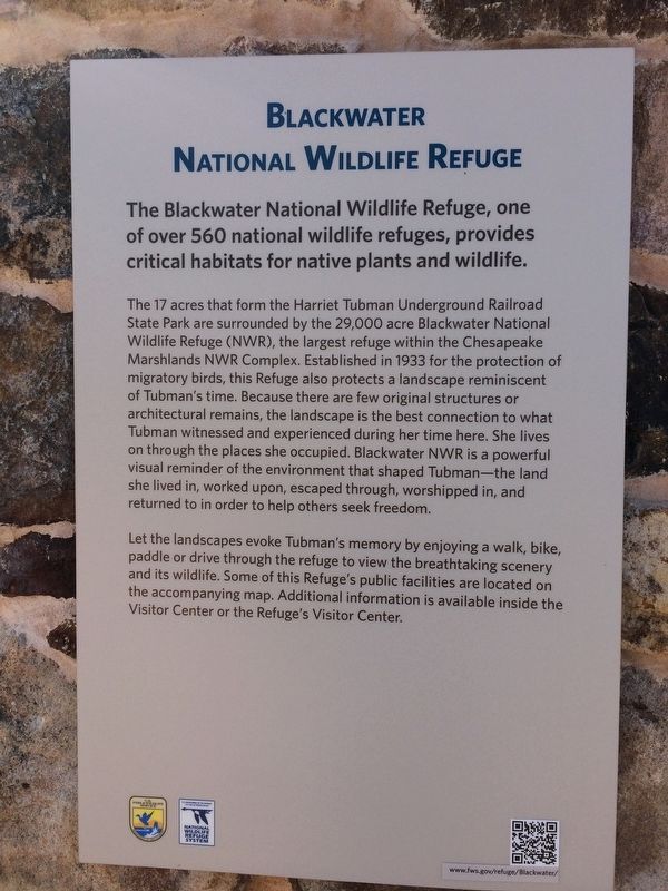 Blackwater National Wildlife Refuge Marker image. Click for full size.