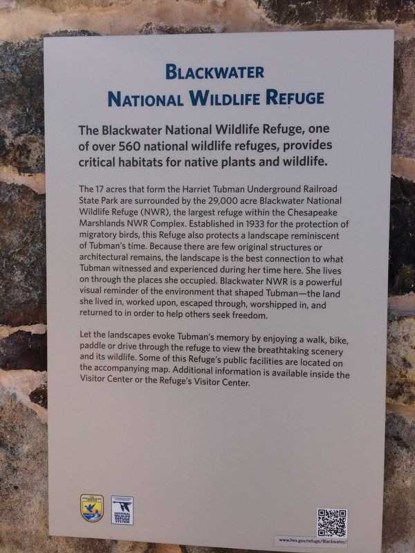 Blackwater National Wildlife Refuge Marker. Click for full size. Blackwater National Wildlife Refuge Marker image. Click for full size.