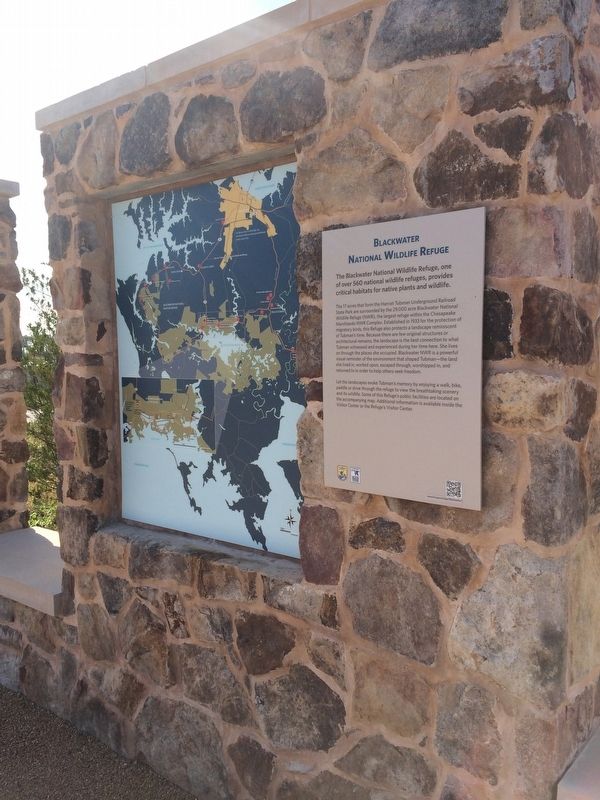 Blackwater National Wildlife Refuge Marker. Click for full size. Blackwater National Wildlife Refuge Marker image. Click for full size.