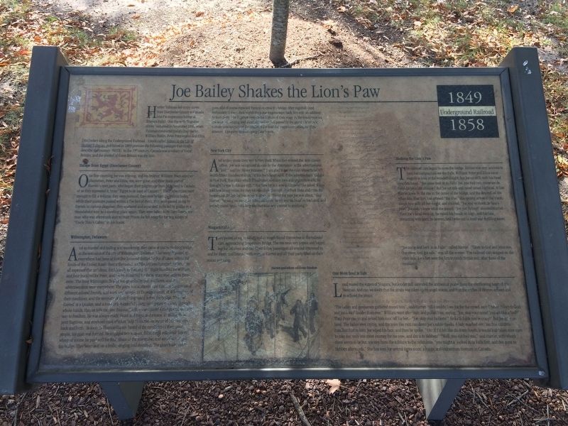 Joe Bailey Shakes the Lion's Pak Marker. Click for full size. Joe Bailey Shakes the Lion's Pak Marker image. Click for full size.