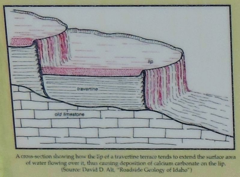 Marker Detail: Travertine Cross-section image. Click for full size.