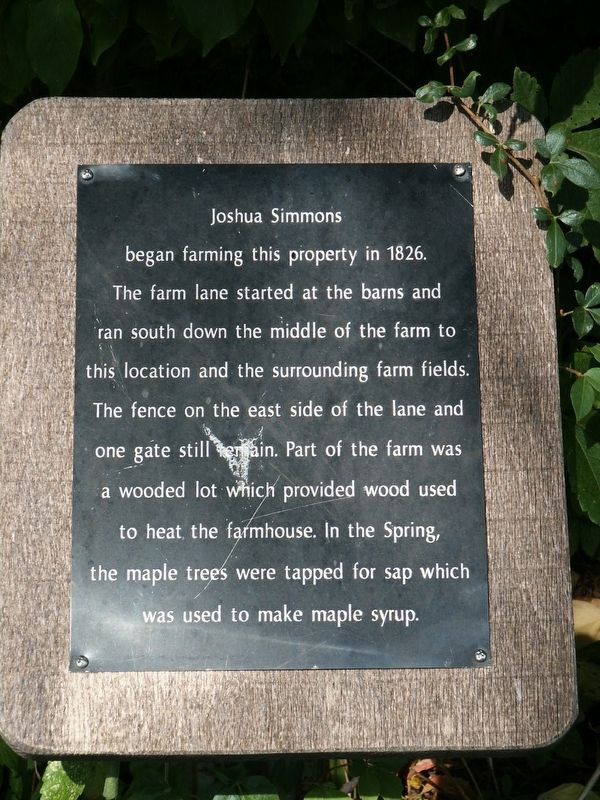 Joshua Simmons Marker. Click for full size. Joshua Simmons Marker image. Click for full size.