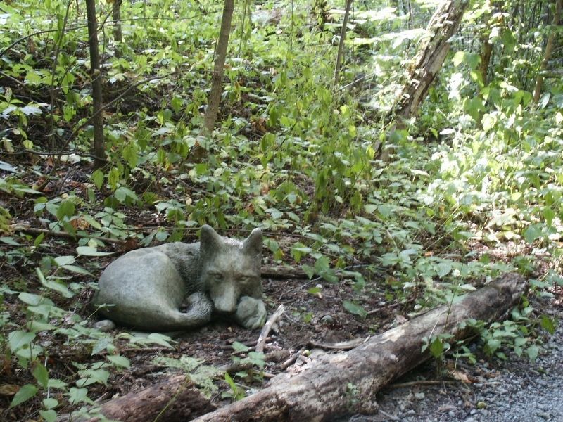 Fox near the Joshua Simmons Marker. Click for full size. Fox near the Joshua Simmons Marker image. Click for full size.
