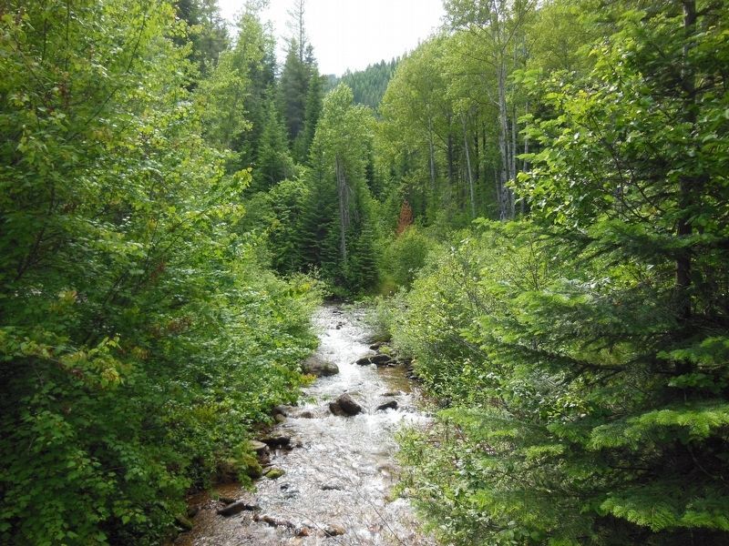 Pulaski Tunnel Trail: Placer Creek image. Click for full size.