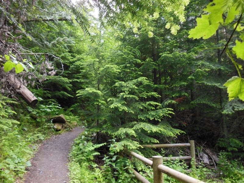 Pulaski Tunnel Trail image. Click for full size.