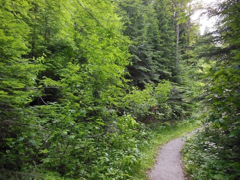 Pulaski Tunnel Trail image. Click for full size.