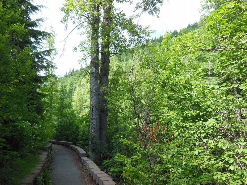 Pulaski Tunnel Trail image. Click for full size.