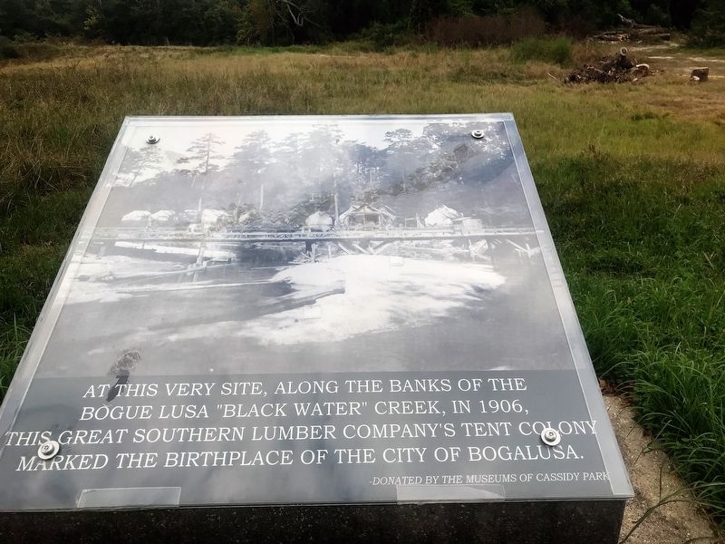 At This Very Site Marker. Click for full size. At This Very Site Marker image. Click for full size.
