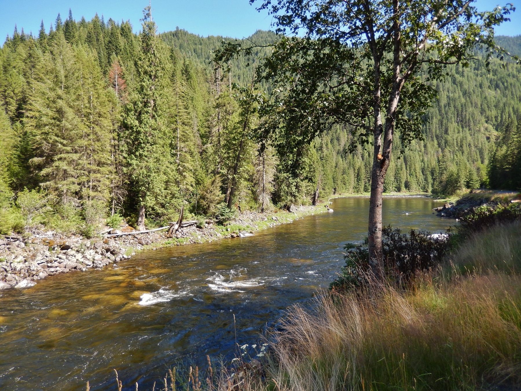 Lochsa River (<i>view south from the marker</i>). Click for full size. Lochsa River (<i>view south from the marker</i>) image. Click for full size.