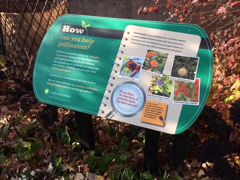 How can you help pollinators? Marker. Click for full size. How can you help pollinators? Marker image. Click for full size.