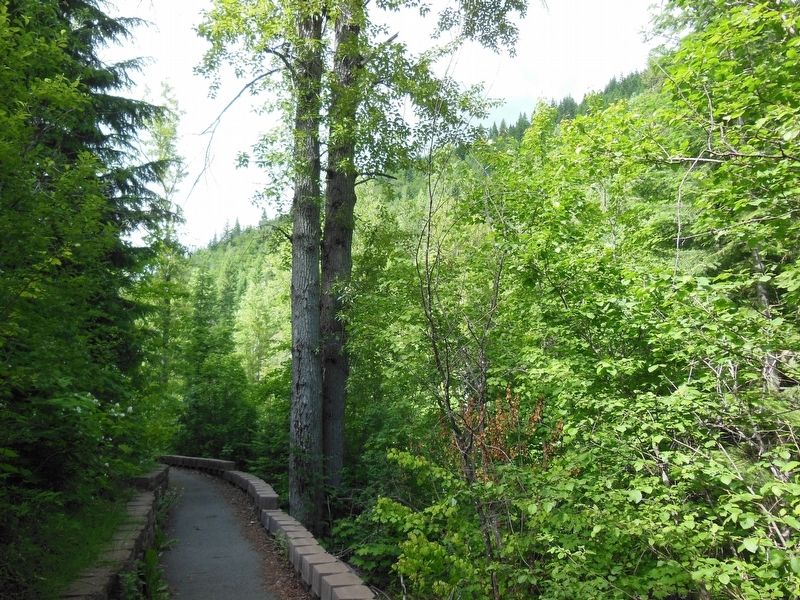 Pulaski Tunnel Trail image. Click for full size.