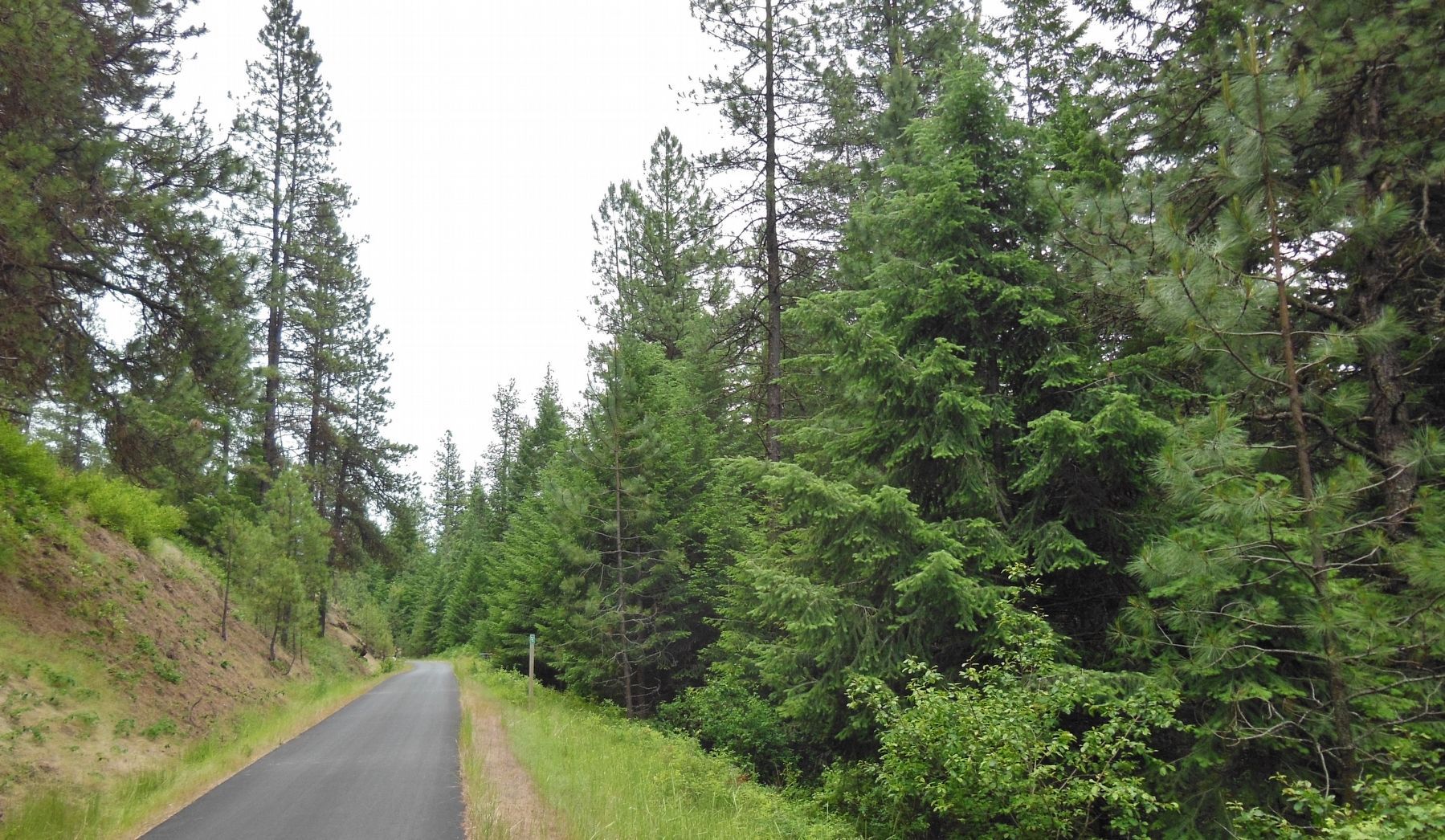 Trail of the Coeur d'Alenes (<i>view of milepost 5 from marker</i>) image. Click for full size.