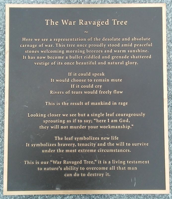 The War Ravaged Tree Marker image. Click for full size.