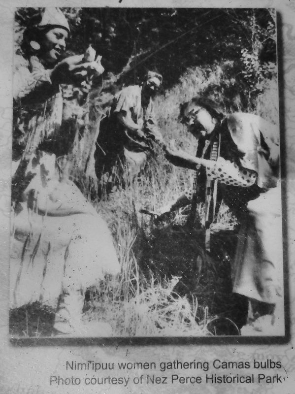 Marker detail: Nimi'ipuu Women. Click for full size. Marker detail: Nimi'ipuu Women image. Click for full size.