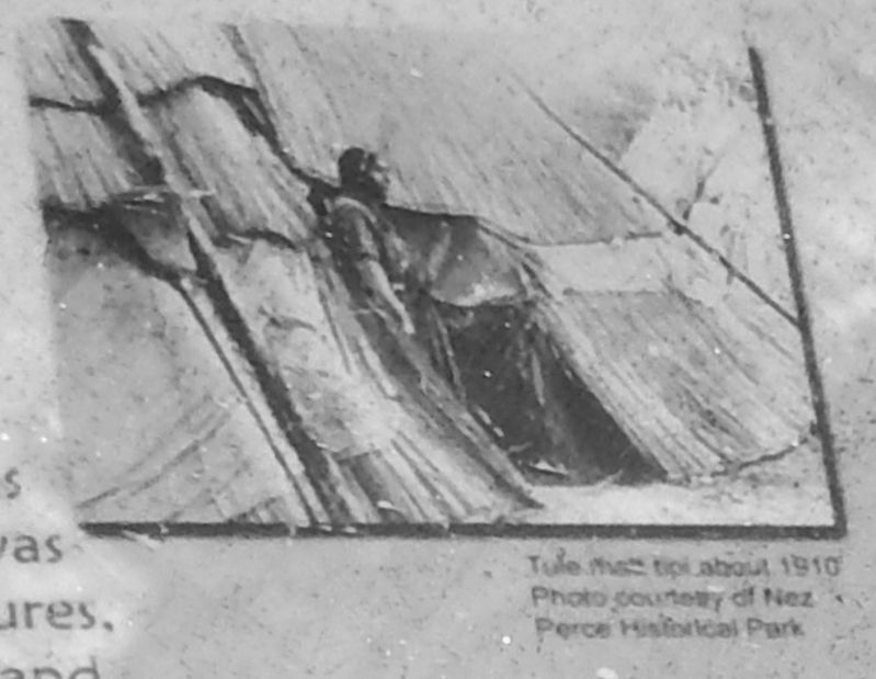 Marker detail: Tule Mat Teepee c1910 image. Click for full size.